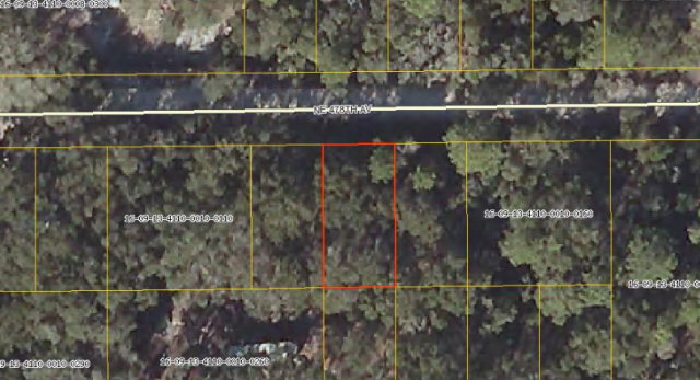 LOT 14 478th Ave, Old Town, FL 32680