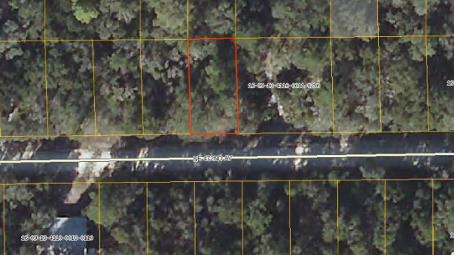 LOT 31 472nd Ave, Old Town, FL 32680