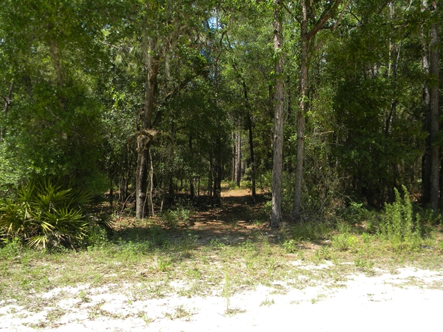 Lot 25 821st St, Old Town, FL 32680