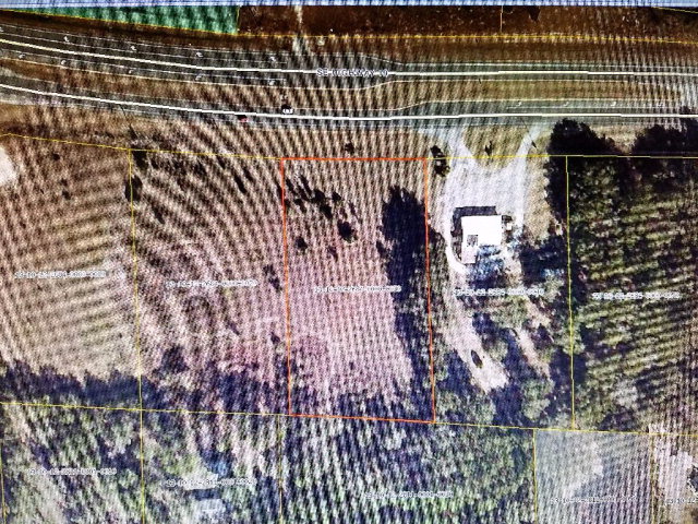 00 US Highway 19, Old Town, FL 32680