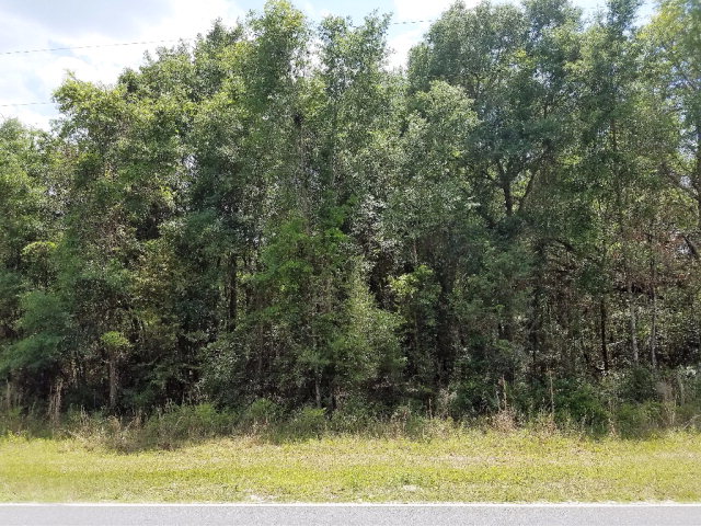 53 632nd Street, Old Town, FL 32680