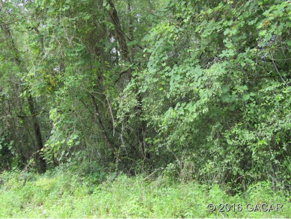 TBD Northeast 867th Street, Old Town, FL 32680
