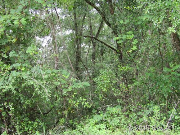 TBD Northeast 867th Street, Old Town, FL 32680