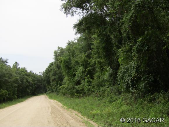TBD Northeast 867th Street, Old Town, FL 32680