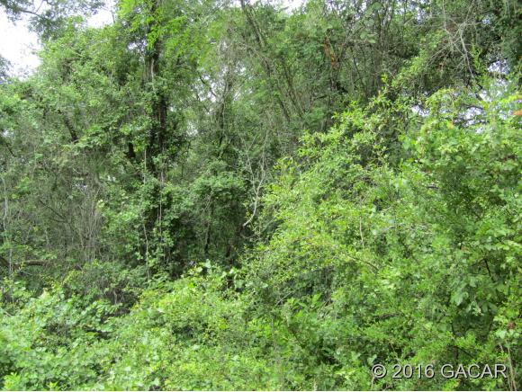 TBD Northeast 867th Street, Old Town, FL 32680
