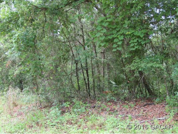 TBD Northeast 867th Street, Old Town, FL 32680