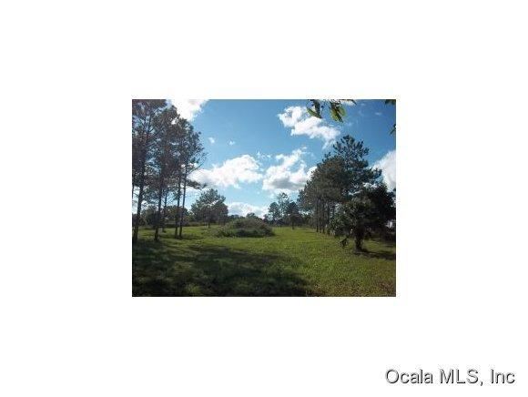0 NW 53RD COURT Road, Orange Lake, FL 32681