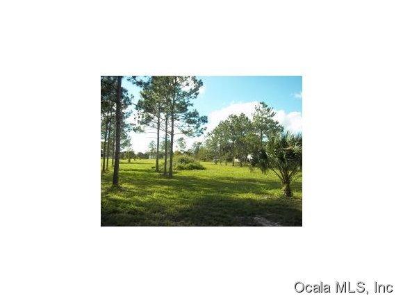 0 NW 53RD COURT Road, Orange Lake, FL 32681
