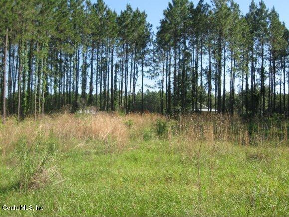 00 NW 112th Court, Reddick, FL 32686