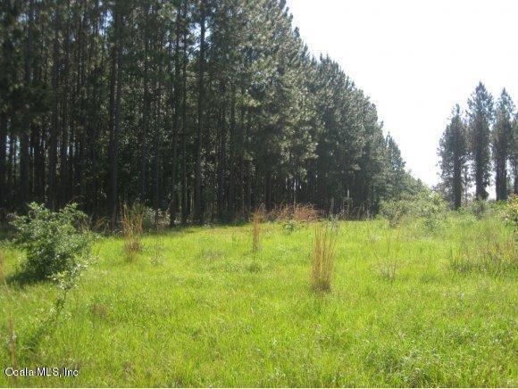 00 NW 112th Court, Reddick, FL 32686