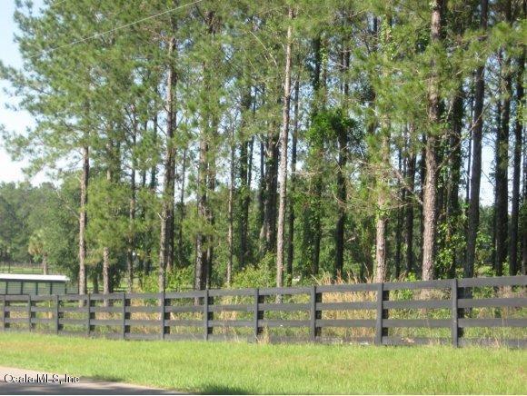 00 NW 112th Court, Reddick, FL 32686