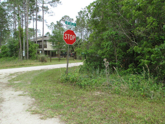 LOT-38 854th Ave, Suwannee, FL 32692