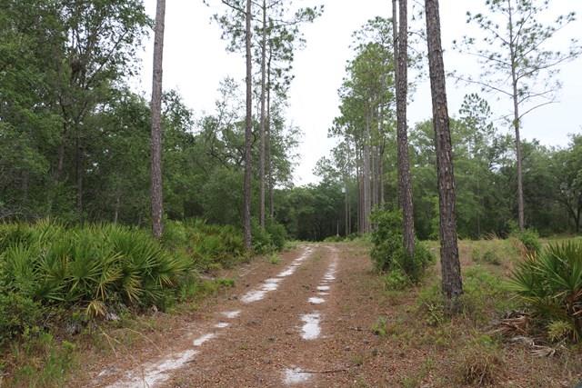 7200 56th Terrace, Trenton, FL 32693