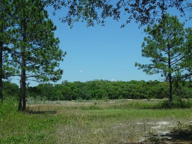7200 56th Terrace, Trenton, FL 32693