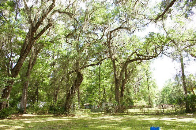 1025 642nd Street, Old Town, FL 32693