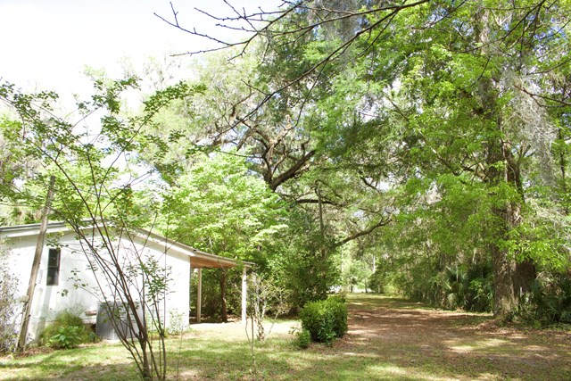 1025 642nd Street, Old Town, FL 32693