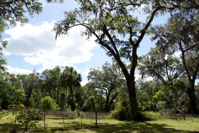 1025 642nd Street, Old Town, FL 32693