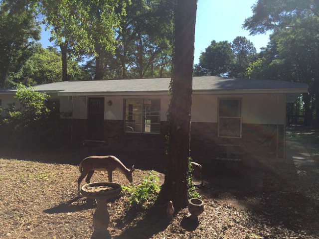 6989 State Road 26, Trenton, FL 32693