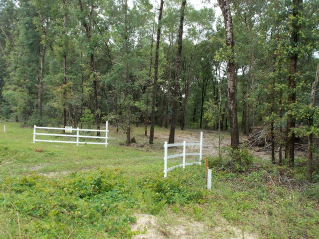 7159 82nd Ln, Trenton, FL 32693