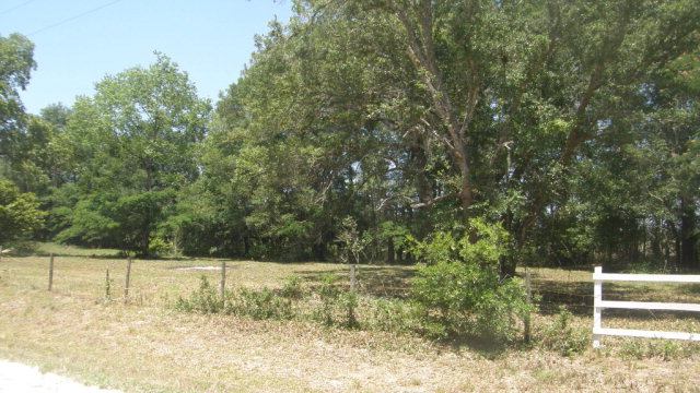 Trenton, FL 32693