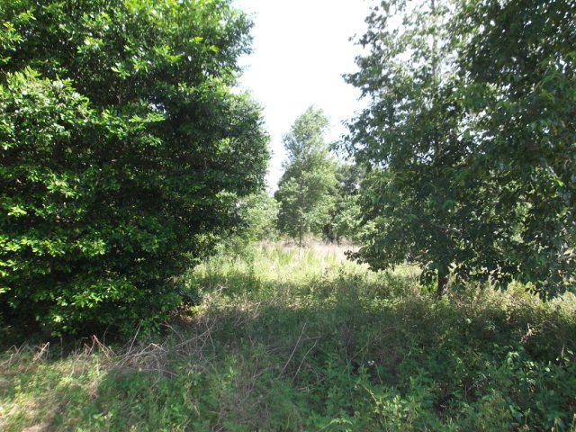 Lot 18 101st St, Trenton, FL 32693