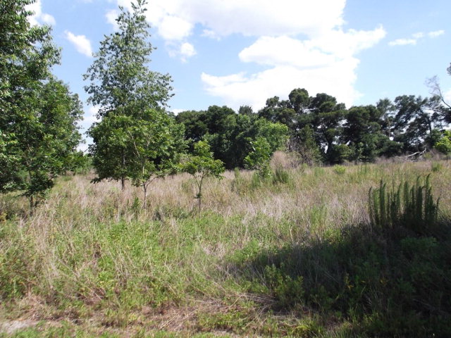 Lot 18 101st St, Trenton, FL 32693