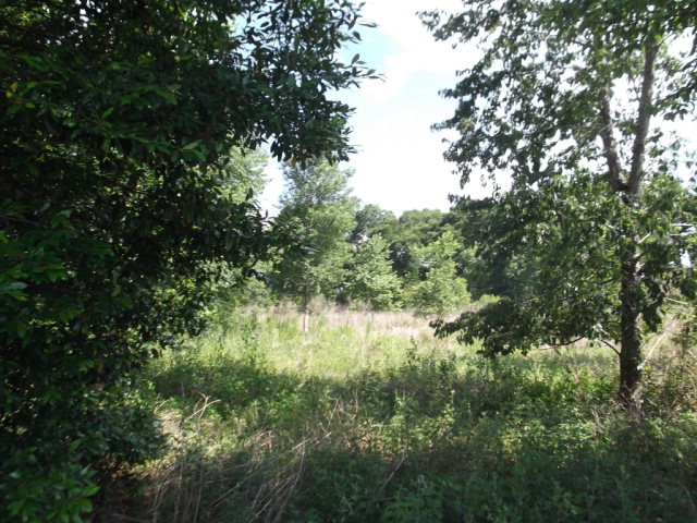 Lot 18 101st St, Trenton, FL 32693