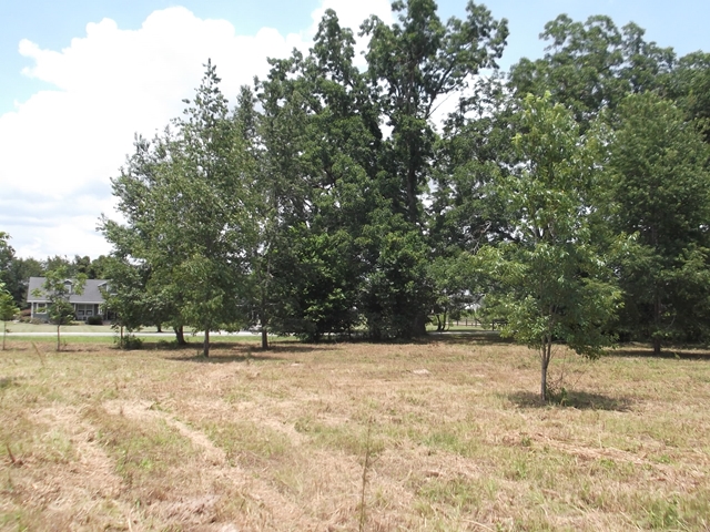 Lot 18 101st St, Trenton, FL 32693