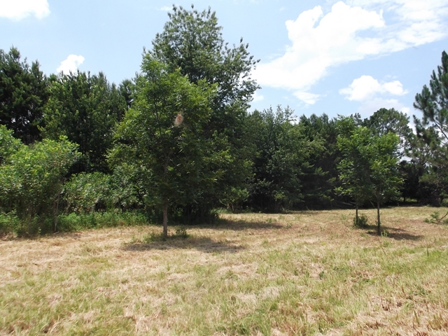 Lot 4 101st St, Trenton, FL 32693