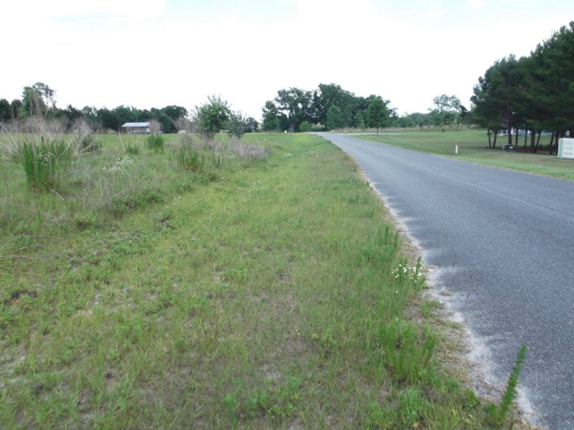 Lot 4 101st St, Trenton, FL 32693