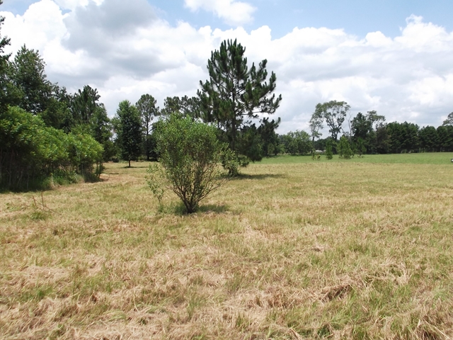 Lot 4 101st St, Trenton, FL 32693