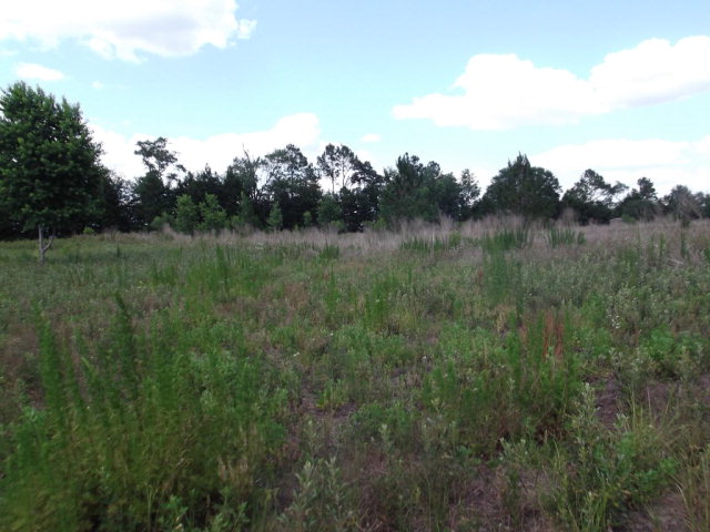 Lot 7 101st St, Trenton, FL 32693