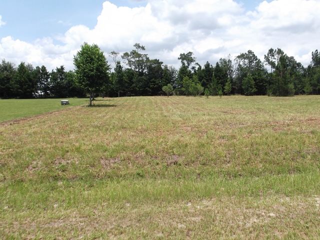 Lot 7 101st St, Trenton, FL 32693