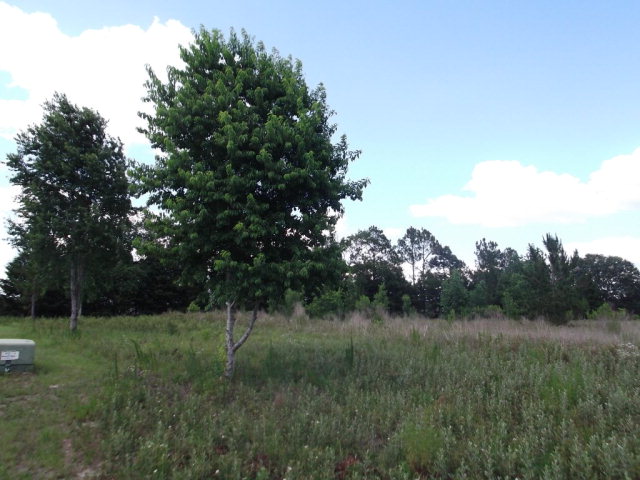 Lot 7 101st St, Trenton, FL 32693
