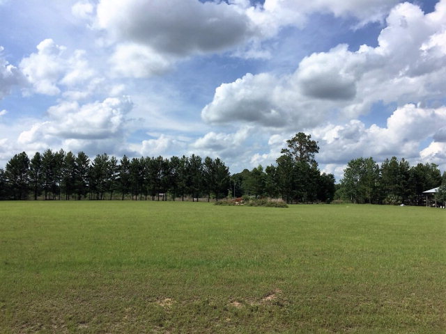 Lot 2 101st St, Trenton, FL 32693