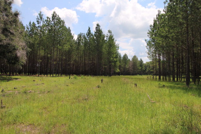 00 25th Ave, Trenton, FL 32693
