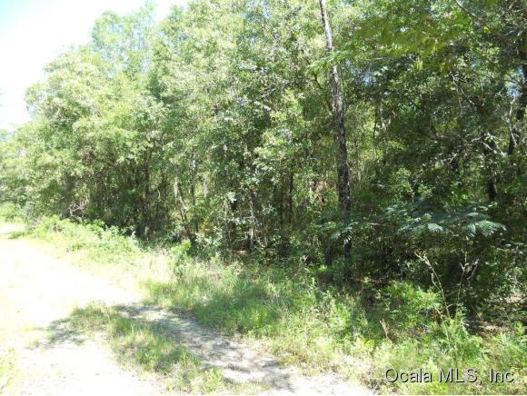 0 NE 8 Lane, Williston, FL 32696