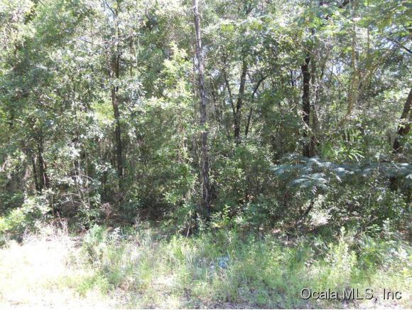 0 NE 8 Lane, Williston, FL 32696