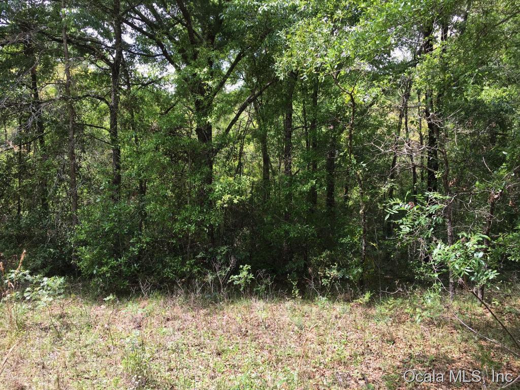 TBD NE Tbd 154th Avenue, Williston, FL 32696