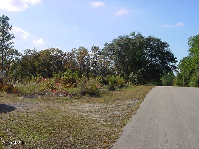 TBD NE 151 Terrace, Williston, FL 32696