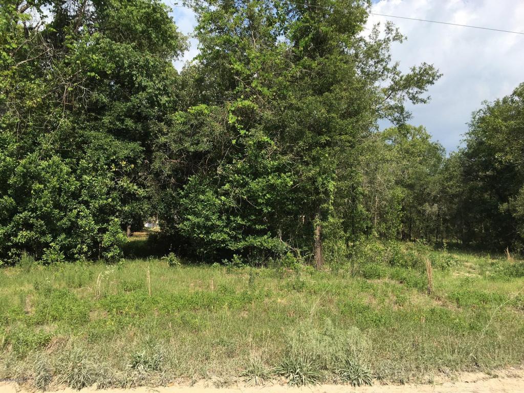 TBD NE 132ND, Williston, FL 32696