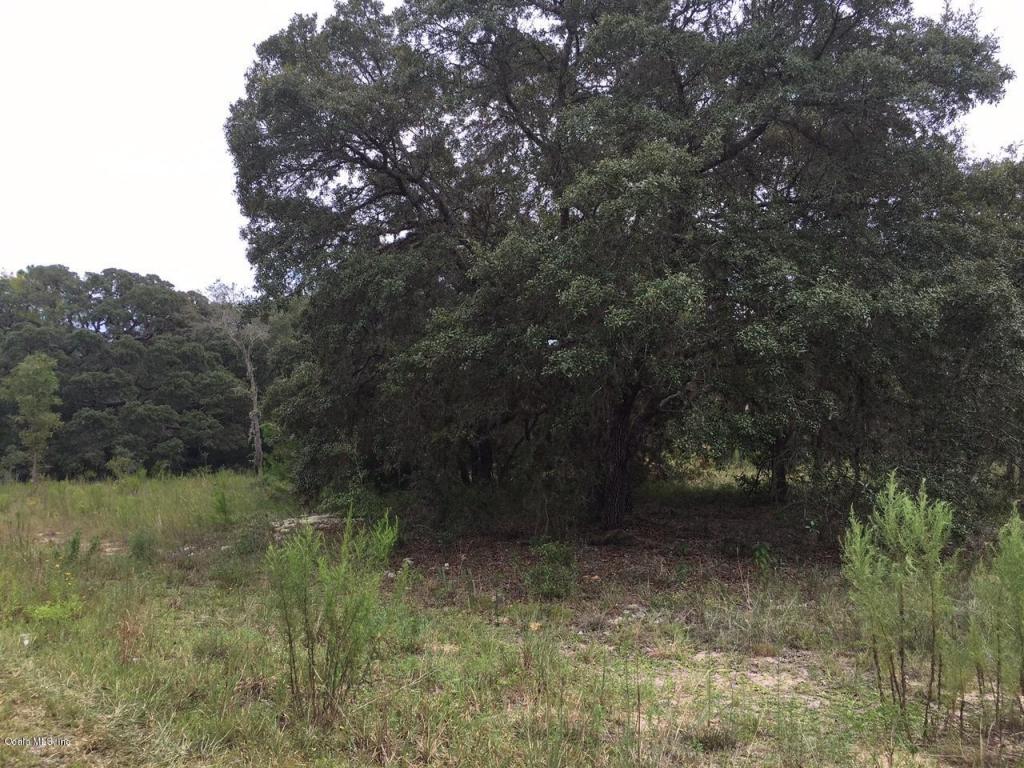 TBD SE 148 Terr, Williston, FL 32696