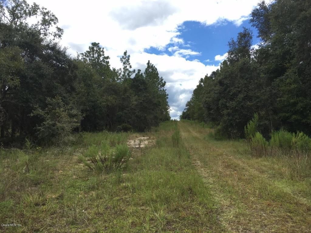 TBD SE 148 Terr, Williston, FL 32696