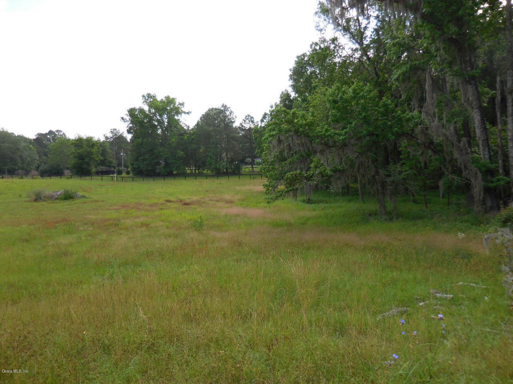 14849 W Highway 318, Williston, FL 32696