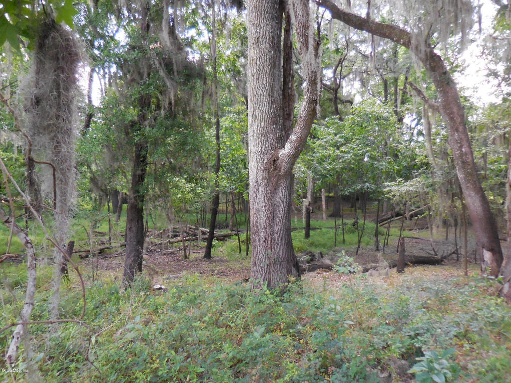 14849 W Highway 318, Williston, FL 32696