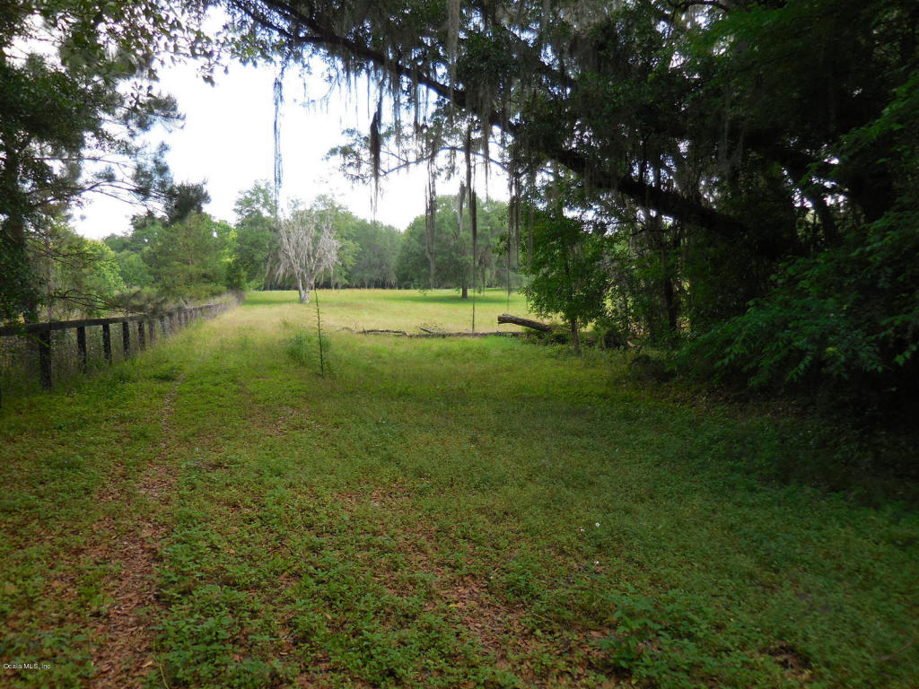 14849 W Highway 318, Williston, FL 32696