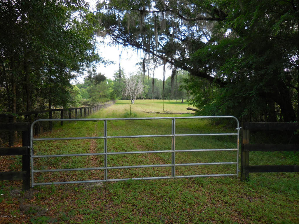 14849 W Highway 318, Williston, FL 32696