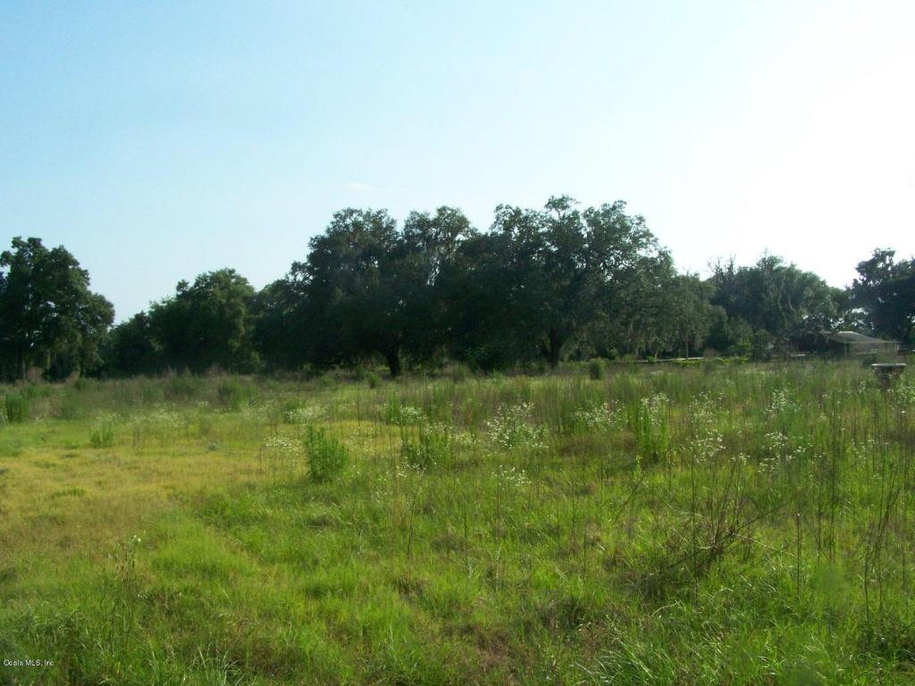 19850 NE 30 Street, Williston, FL 32696