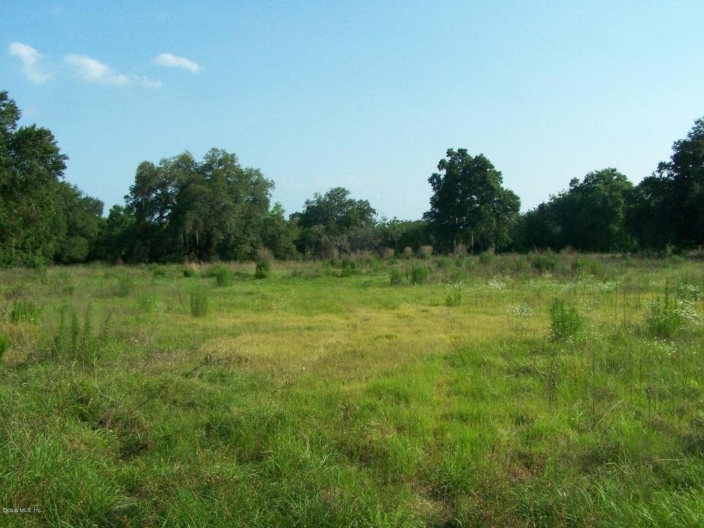 19850 NE 30 Street, Williston, FL 32696