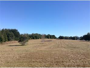 42421 W. Altoona Road, Altoona, FL 32702